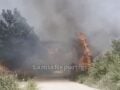 Φωτιά στη Λαμία: Στην είσοδο της περιοχής Λυγαριά – Επιχειρούν 2 εναέρια μέσα