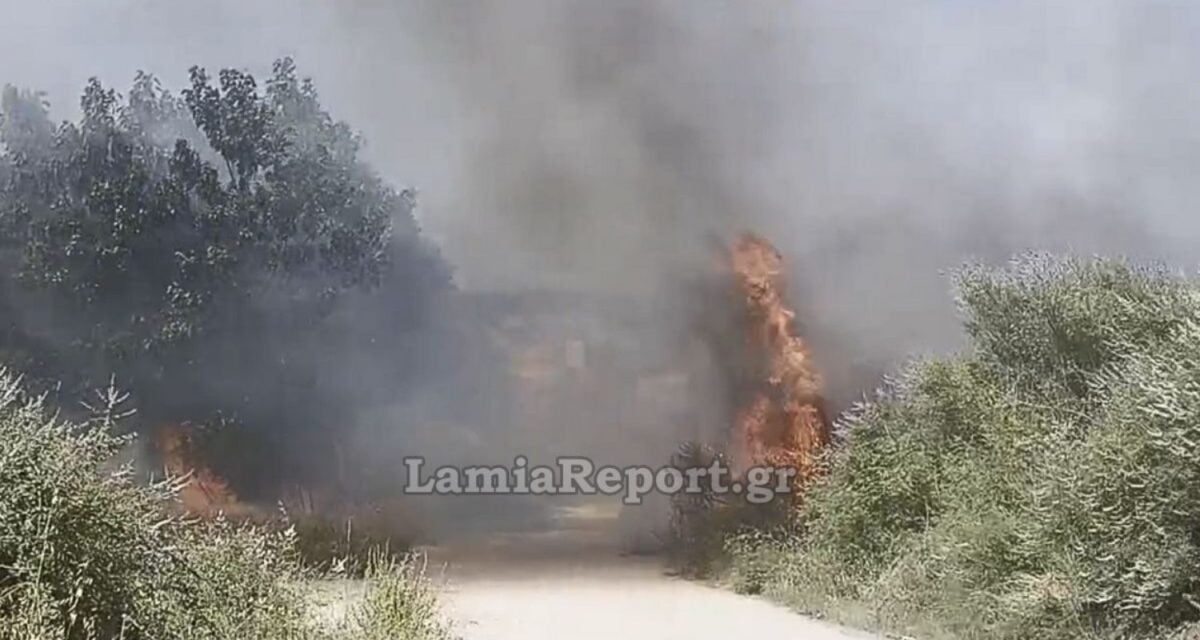 Φωτιά στη Λαμία: Στην είσοδο της περιοχής Λυγαριά – Επιχειρούν 2 εναέρια μέσα