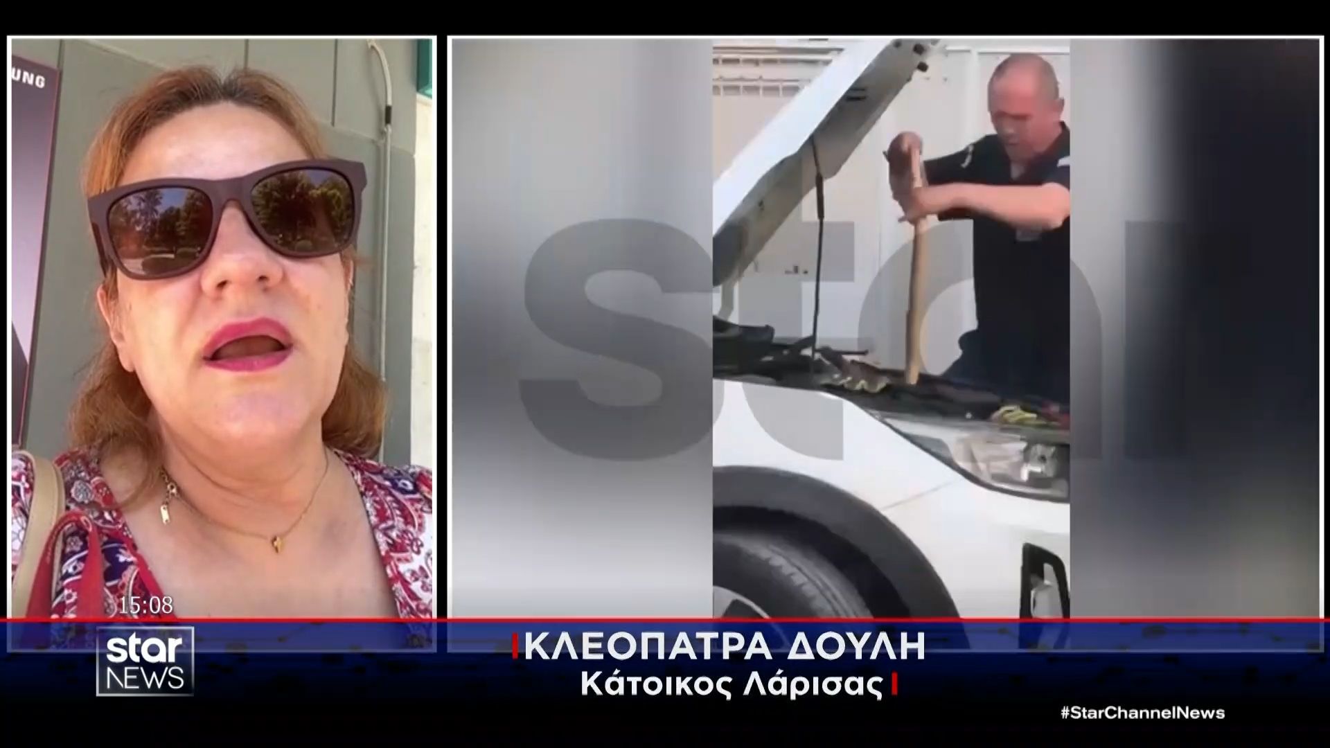 Λάρισα: Επιχείρηση απομάκρυνσης φιδιού από μηχανή αυτοκινήτου