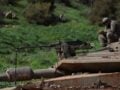 Ισραήλ: Οι ακροδεξιοί υπουργοί του Νετανιάχου ζητούν «να καεί όλος ο Λίβανος» – Συνεχίζεται η αιματοχυσία με εκατέρωθεν απώλειες