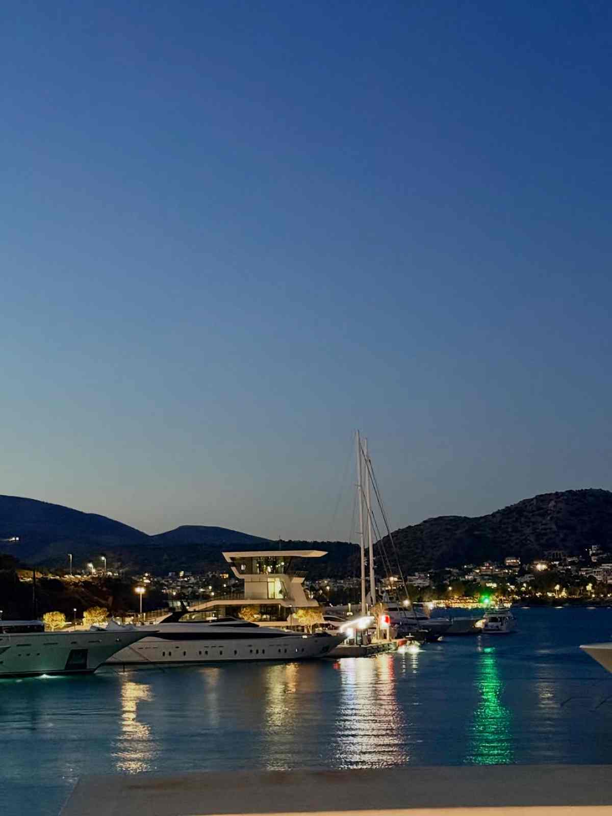 Μαρία Αντωνά δίπλα στον Γιώργο Λιάγκα: Η εμφάνιση και οι κοινές φωτογραφίες 27 Μαρία Αντωνά, Γιώργος Λιάγκας