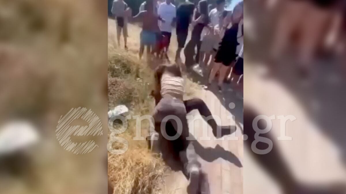 Εύβοια: Άγρια συμπλοκή μαθητριών έξω από σχολείο – Ζητωκραύγαζαν και τραβούσαν βίντεο οι συμμαθητές τους 1 Εύβοια: Άγρια συμπλοκή μαθητριών έξω από σχολείο – Ζητωκραύγαζαν και τραβούσαν βίντεο οι συμμαθητές τους