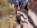 Εύβοια: Άγρια συμπλοκή μαθητριών έξω από σχολείο – Ζητωκραύγαζαν και τραβούσαν βίντεο οι συμμαθητές τους