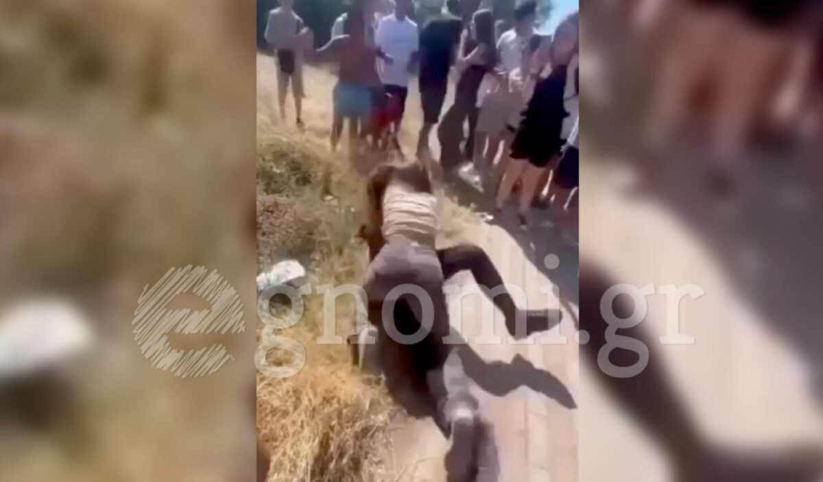 Εύβοια: Άγρια συμπλοκή μαθητριών έξω από σχολείο – Ζητωκραύγαζαν και τραβούσαν βίντεο οι συμμαθητές τους