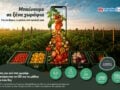 My market: τι βάζεις στο τραπέζι σου