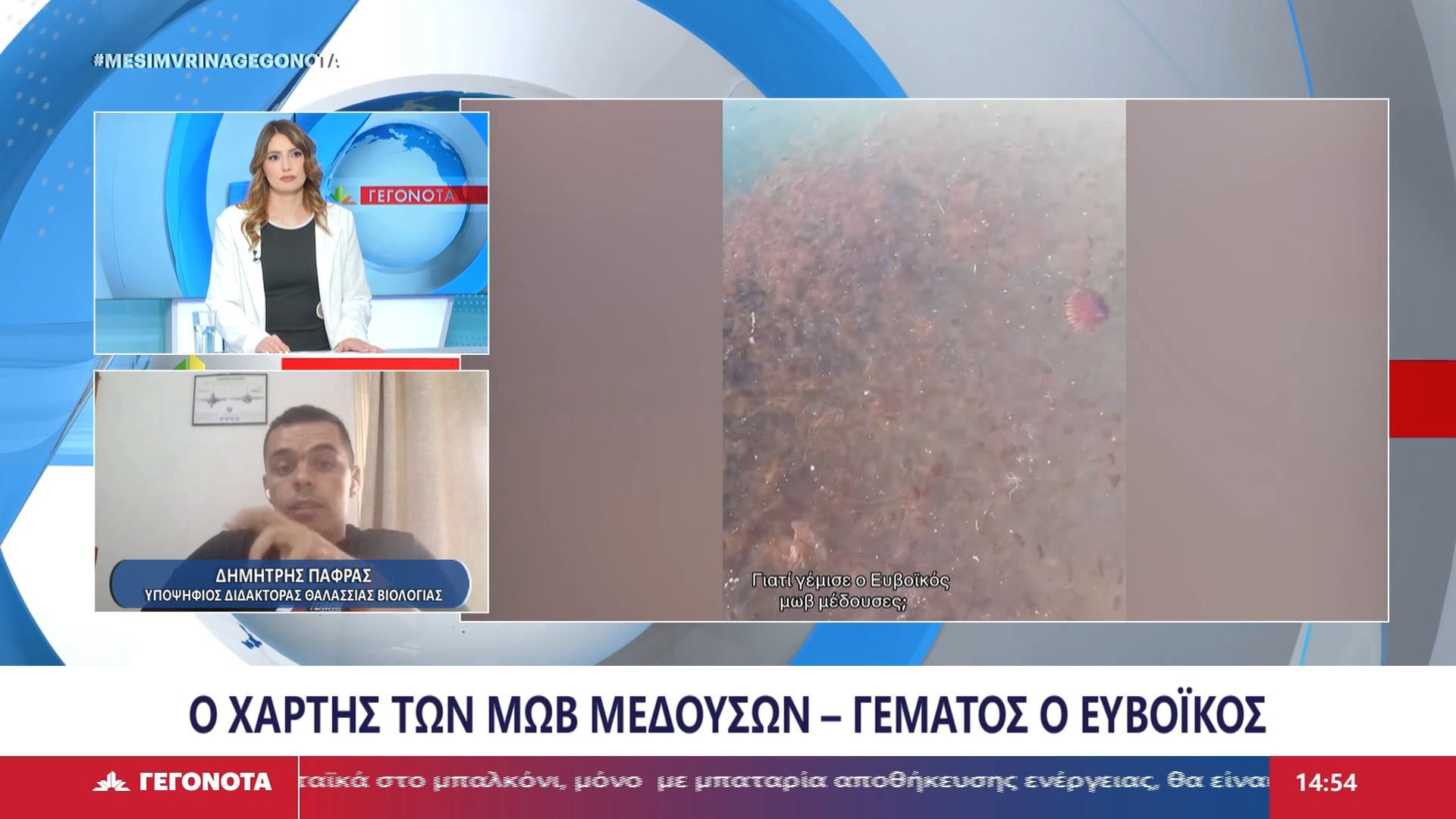 Ο Υποψήφιος Διδάκτορας θαλάσσιας βιολογίας, Δημήτρης Πάφρας στο STAR