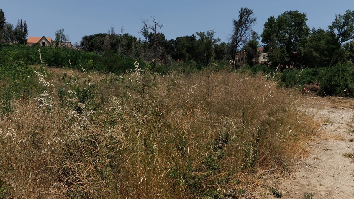 Ακαθάριστα οικόπεδα: Λήγει τη Δευτέρα η προθεσμία για τις δηλώσεις, σαρωτικοί έλεγχοι από την Τρίτη και πρόστιμα για όσους δεν συμμορφωθούν 1 Ακαθάριστα οικόπεδα: Λήγει τη Δευτέρα η προθεσμία για τις δηλώσεις, σαρωτικοί έλεγχοι από την Τρίτη και πρόστιμα για όσους δεν συμμορφωθούν