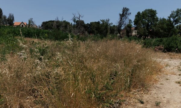 Ακαθάριστα οικόπεδα: Λήγει τη Δευτέρα η προθεσμία για τις δηλώσεις, σαρωτικοί έλεγχοι από την Τρίτη και πρόστιμα για όσους δεν συμμορφωθούν