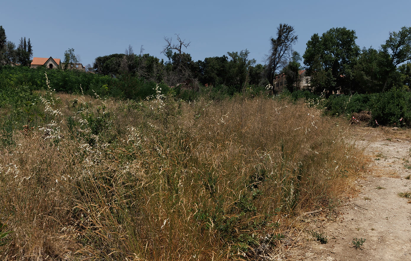 Τελευταία ευκαιρία για τα ακαθάριστα οικόπεδα – Βαρύτατα πρόστιμα για τους παραβάτες