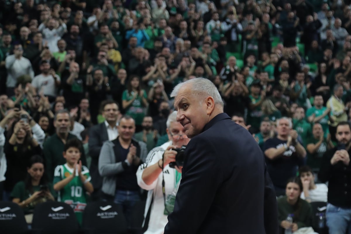 Ζέλικο Ομπράντοβιτς: Οι οπαδοί του Παναθηναϊκού ετοιμάζουν υποδοχή ήρωα στον Σέρβο προπονητή