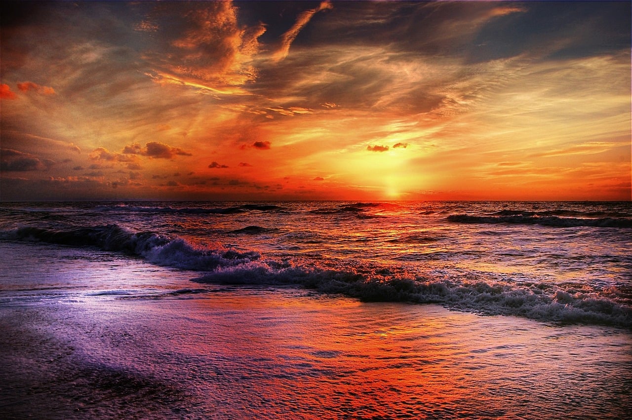 Η θαλάσσια «ζώνη» που φαίνεται ακόμη κι από το διάστημα έχει κάνει εφιάλτη τα μπάνια χιλιάδων λουομένων (ΒΙΝΤΕΟ)