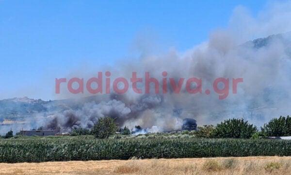 Φωτιά στην Πέτρα Βοιωτίας – Πνέουν άνεμοι 7 μποφόρ στην περιοχή