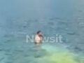 Οι δυο πιλότοι που έπεσαν με πυροσβεστικό ελικόπτερο στη λίμνη Αώου πήραν εξιτήριο από το νοσοκομείο