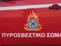 Γρεβενά: Φωτιά, επιχειρούν 15 πυροσβέστες