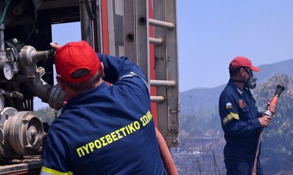 Φωτιά στον Ορχομενό: 4 αεροπλάνα και 2 ελικόπτερα έχουν σηκωθεί