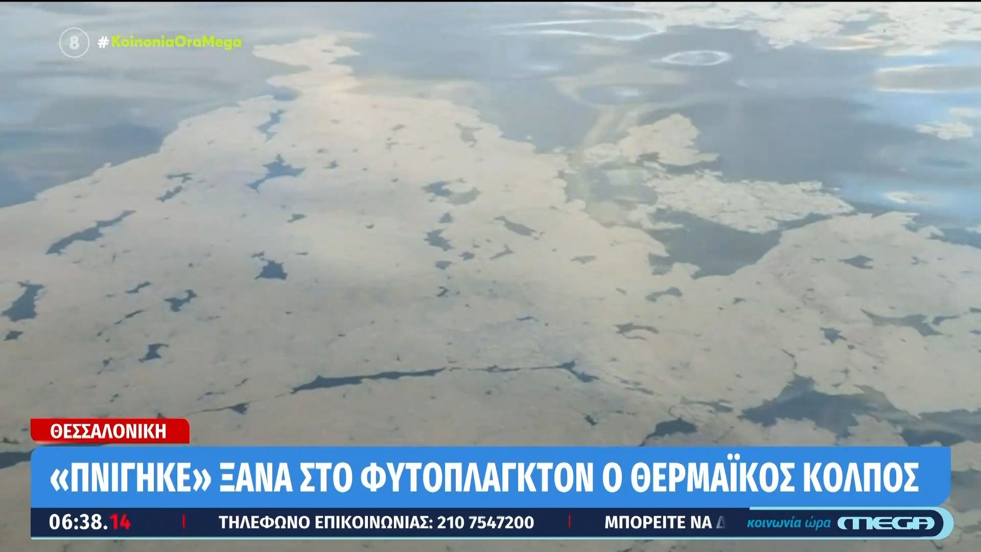 «Πνίγηκε» ξανά στο φυτοπλαγκτόν ο Θερμαϊκός κόλπος