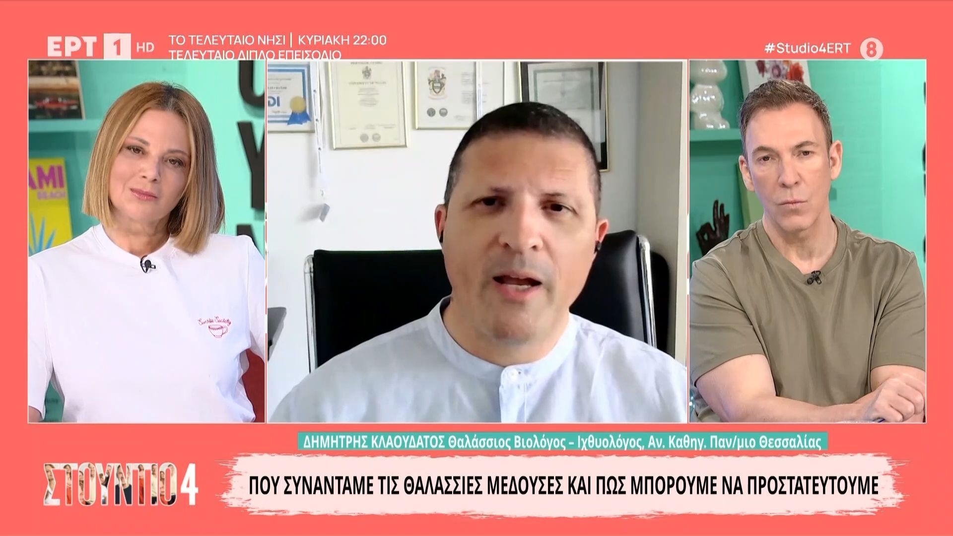 Πού συναντάμε τις θαλάσσιες μέδουσες και πώς μπορούμε να προστατευτούμε
