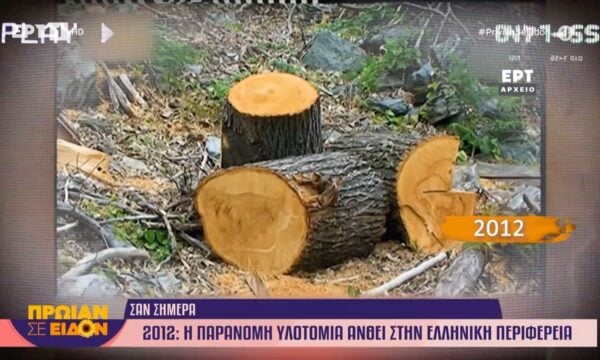 18 Ιουνίου 2012 | Η παράνομη υλοτομία ανθεί στην ελληνική περιφέρεια