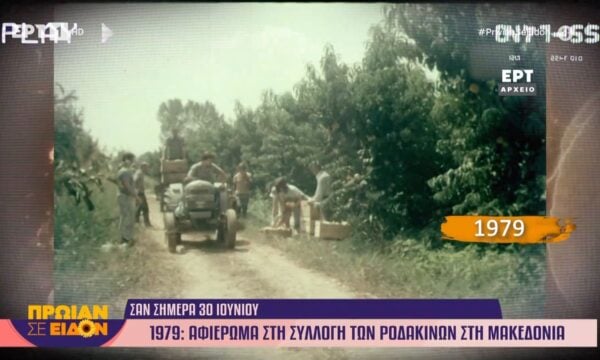 30 Ιουνίου 1979 | Αφιέρωμα στη συλλογή ροδάκινων στην Μακεδονία