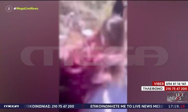 Άγριο ξύλο μαθητριών και γύρω γύρω συμμαθητές τους