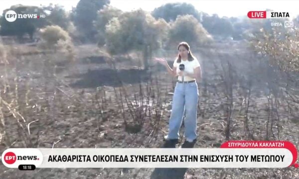 Ακαθάριστα οικόπεδα συνετέλεσαν στην ενίσχυση του πύρινου μετώπου στα Σπάτα