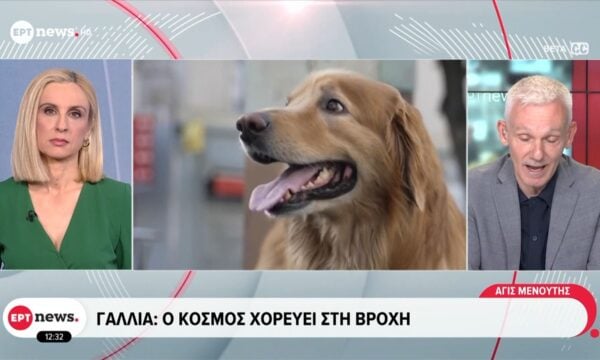 Ακραίος καύσωνας σε Γερμανία, Τσεχία, Πολωνία και Δανία