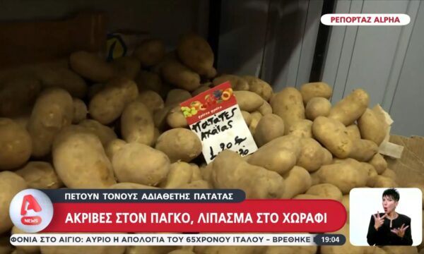 Ακρίβεια: Πετούν τόνους αδιάθετης πατάτας