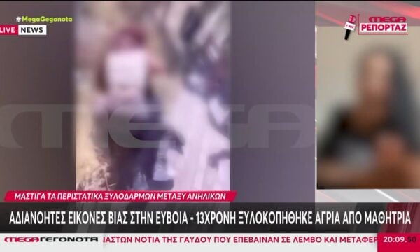 Αλλεπάλληλα περιστατικά βίας ανηλίκων – Ξύλο σε Εύβοια & Αργυρούπολη