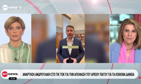 Ανάρτηση Ανδρουλάκη στο TikTok για την απόφαση του Αρείου Πάγου για τα κόκκινα δάνεια