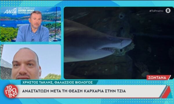 Αναστάτωση μετά τη θέαση καρχαρία στην Τζιά – Το Πρωινό – 23/06/2026
