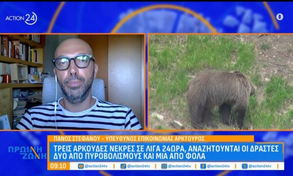 Αναζητούνται οι δράστες υπαίτιοι για την παράνομη θανάτωση αρκουδών: «Η αρκούδα είναι προστατευόμενο είδος και απαγορεύεται να την κυνηγήσεις»