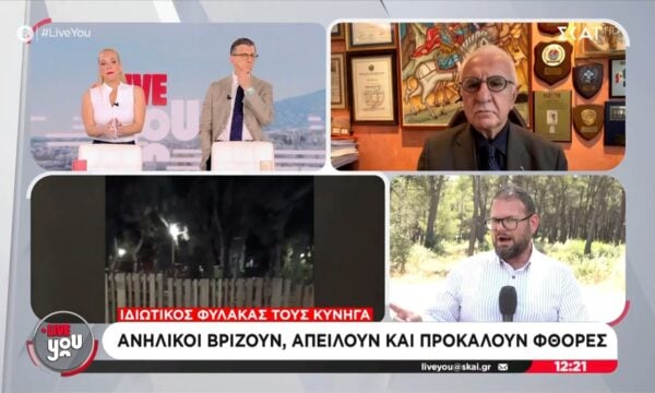 Ανήλικοι βρίζουν απειλούν και προκαλούν φθορές σε παιδική χαρά