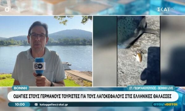 Ανησυχεί και τους Γερμανούς ο λαγοκέφαλος: «Ποτέ δεν έχω διαβάσει στα μέσα τόσες πληροφορίες για ένα ψάρι»