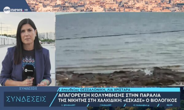Απαγόρευση κολύμβησης στην παραλία της Νικήτης στη Χαλκιδική: «Έσκασε» ο βιολογικός