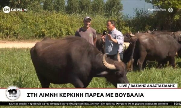 Απόδραση στη μαγευτική λίμνη Κερκίνη