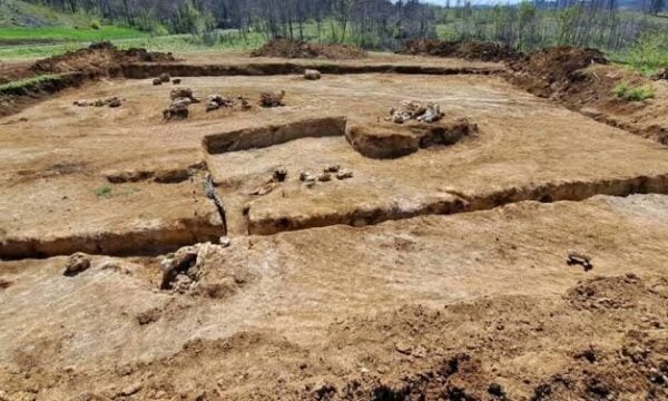 Απολιθωμένο Δάσος Κερασιάς Εύβοιας. Νικόλαος Ζούρος καθ.Παν/μίου Αιγαίου