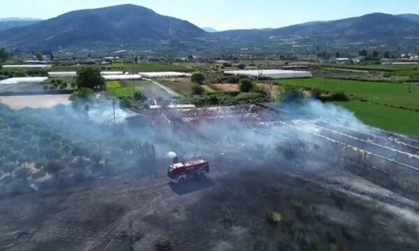 Αργολίδα: Πυρκαγιά σε αγροτική έκταση ανάμεσα στη Νέα Κίο και τους Μύλους στο ύψος του Κεφαλαρίου