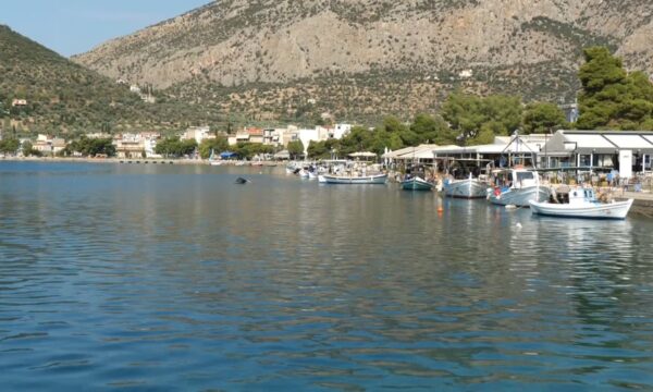 Ασφαλείς οι λουόμενοι του Δήμου Διστόμου Αράχωβας Αντίκυρας. Κανένα κρούσμα λαγοκέφαλου.