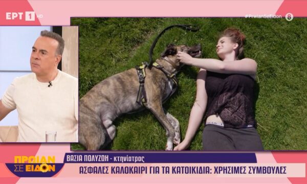 Ασφαλές καλοκαίρι για τα κατοικίδια | Χρήσιμες συμβουλες