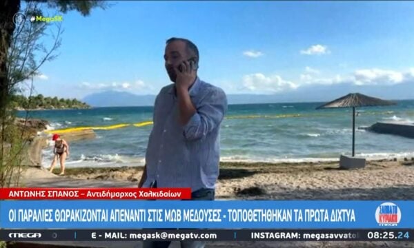 Ασπίδα κατά των μεδουσών στις παραλίες της Εύβοιας