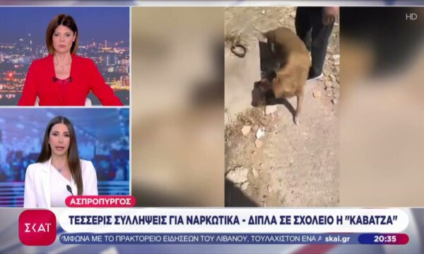 Ασπρόπυργος: Τέσσερις συλλήψεις για ναρκωτικά – Δίπλα σε σχολείο η “καβάτζα”