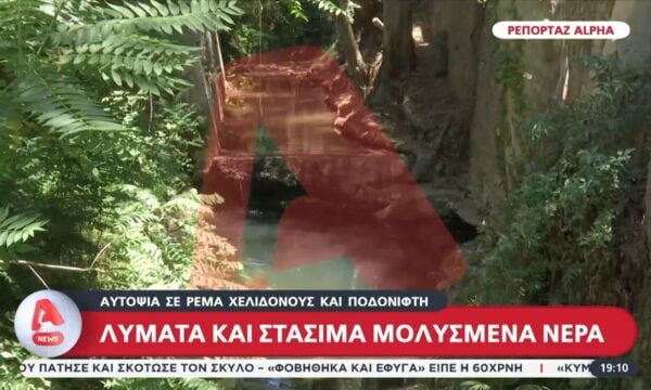 Αυτοψία σε ρέμα Χελιδονούς και Ποδονίφτη: Λύματα και στάσιμα μολυσμένα νερά