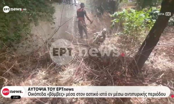 Αυτοψία του ΕΡΤnews – Οικόπεδα «βόμβες» μέσα στον αστικό ιστό εν μέσω αντιπυρικής περιόδου