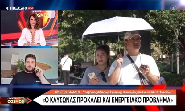 Χ. Γαλάνης: «Ο καύσωνας προκαλεί και ενεργεακό πρόβήμα»
