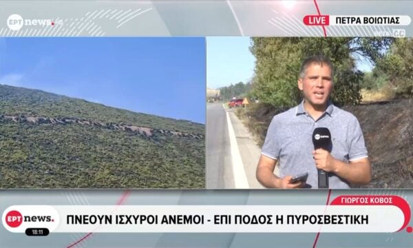 Χωρίς ενεργό μέτωπο η φωτιά στην Πέτρα Βοιωτίας