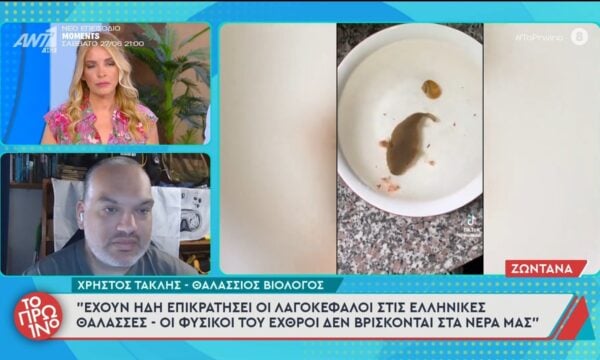 Χρ. Τακλής: “Έχουν ήδη επικρατήσει οι λαγοκέφαλοι στις Ελληνικές θάλασσες” – Το Πρωινό – 25/06/2026