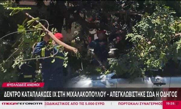 Δέντρο καταπλάκωσε ΙΧ στη Μιχαλακοπούλου – Απεγκλωβίστηκε σώα η οδηγός
