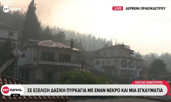 Δερβένι Ωραιόκαστρου: Σε εξέλιξη δασική πυρκαγιά με έναν νεκρό και μια εγκαυματία