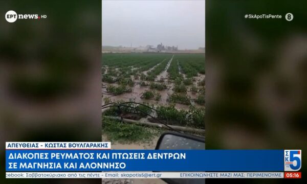 Διακοπές ρεύματος και πτώσεις δέντρων σε Μαγνησία και Αλόννησο