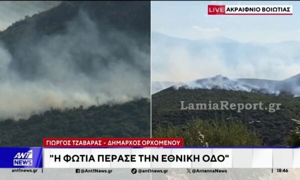 Δήμαρχος Ορχομενού: Η φωτιά είναι μεγάλης έκτασης, αλλά δεν κινδυνεύει το Ακραίφνιο